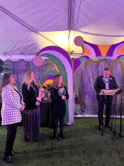Annual Mardi Gras Fundraiser for SAFE Family Justice Center