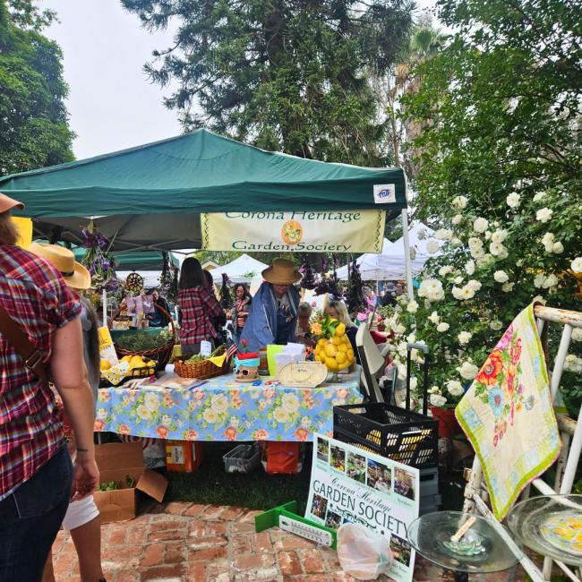 Corona's 2024 Antiques Faire