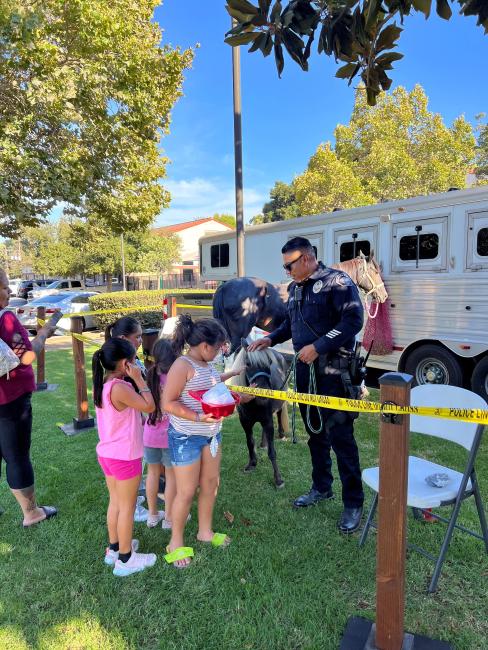 NNO