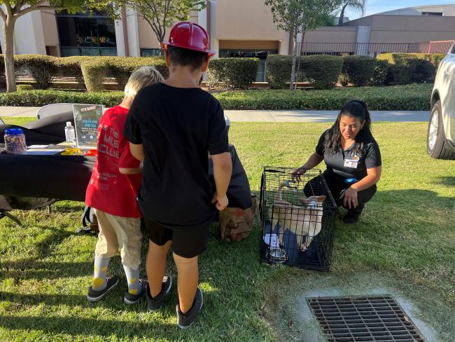 NNO