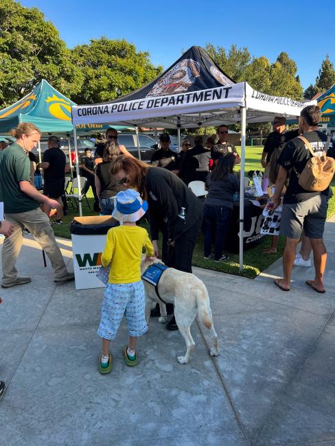 NNO