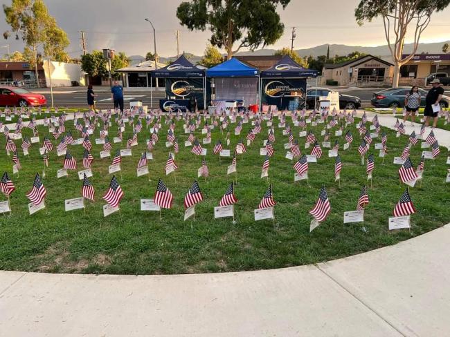 American flags on the Historic Civic Center lawn