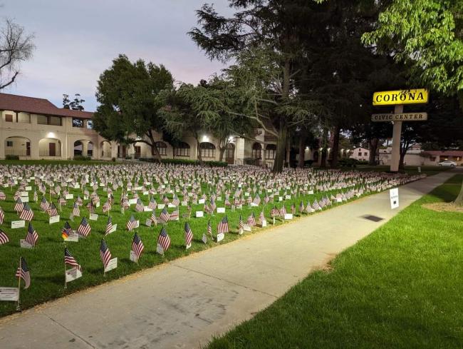 American flags on the Historic Civic Center lawn