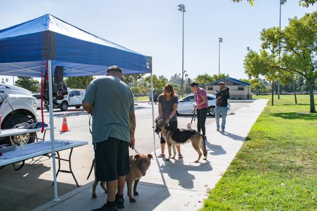 Second District Team Hosts Free Dog Wellness Clinic in El Cerrito
