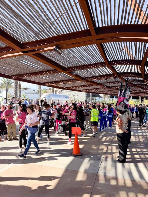 Supervisor Spiegel Joins Community at Support Sisterz Annual Combat Cancer Walk