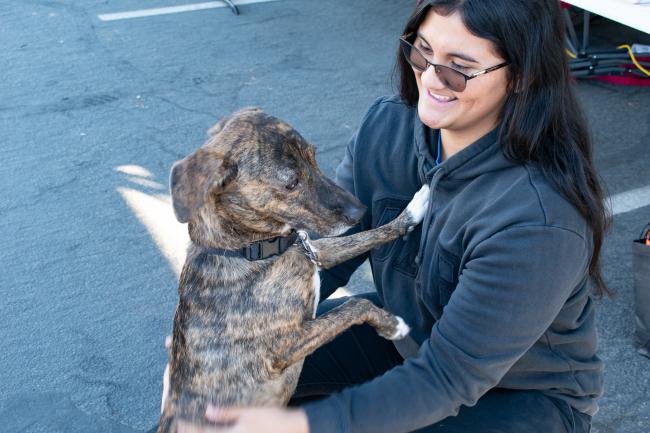 Supervisor Spiegel Partners with Riverside County Animal Services for Free Mobile Spay & Neuter Clinic in Temescal Valley