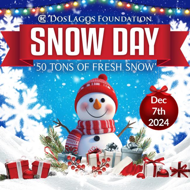 https://dltickets.com/events/snow-day-50-tons-of-fresh-snow/