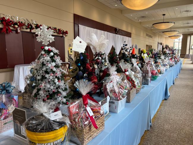 Festival of Trees 2024