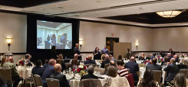 IEEP Partnership's Awards