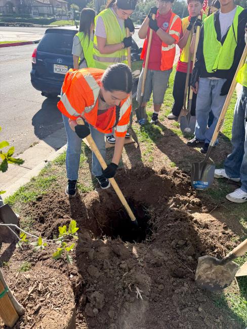 Arbor Day