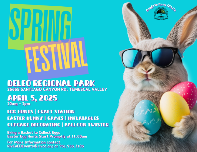 Spring Festival Deleo Park