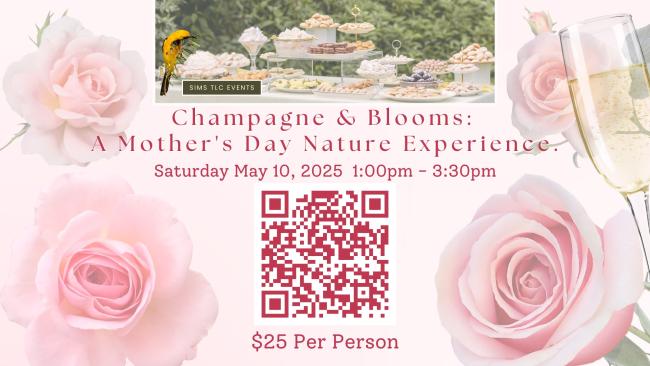 Champagne and Blooms