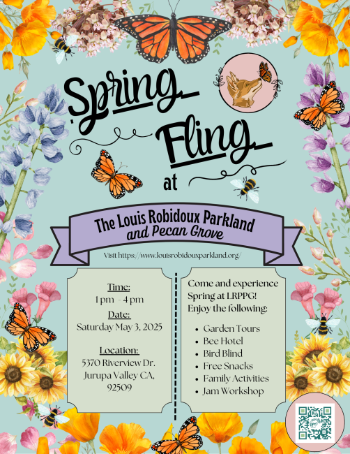 Spring Fling