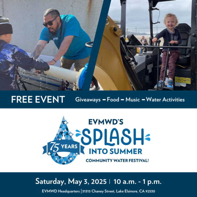 Splash Into Summer