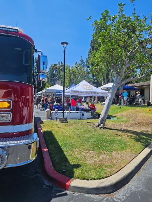 Blue Star Mothers Picnic