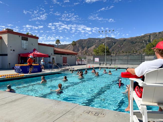 Aquafit Fridays