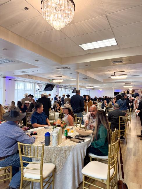 NACC Business Awards