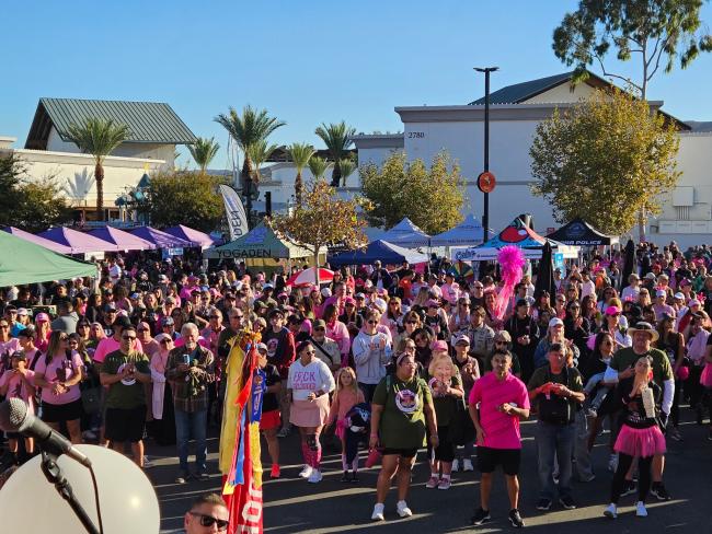Support Sisterz Walk