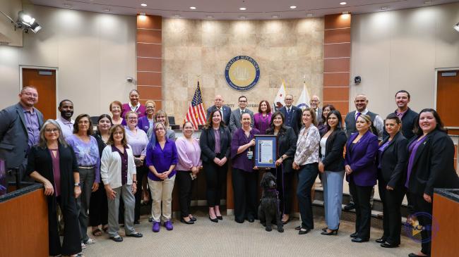 National Domestic Violence Awareness Month