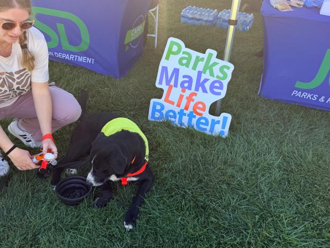 Barks & Brews