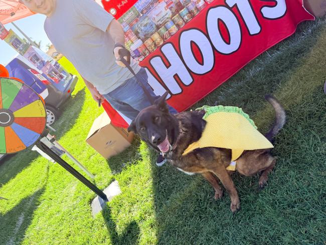 Barks & Brews