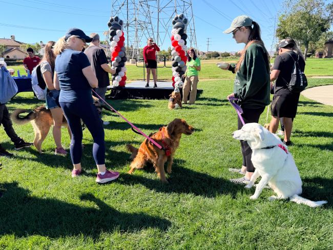 Barks & Brews