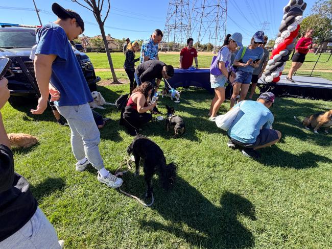 Barks & Brews