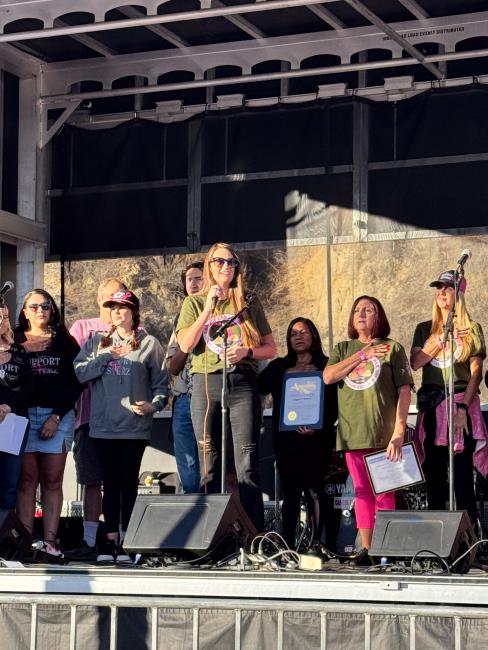 Support Sisterz Walk