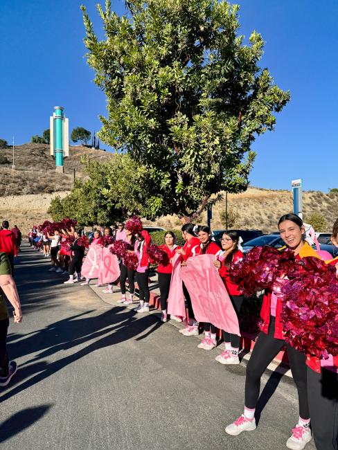 Support Sisterz Walk