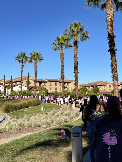 Support Sisterz Walk