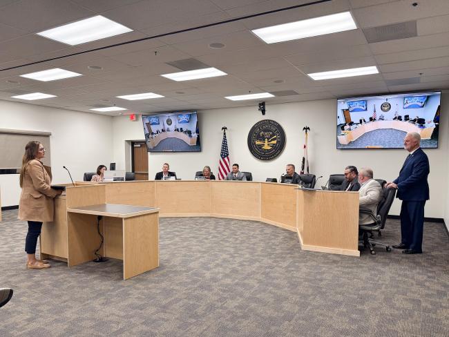 Council Meeting