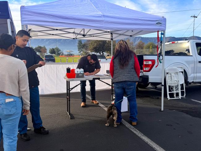 Warm Springs Dog Wellness Clinic