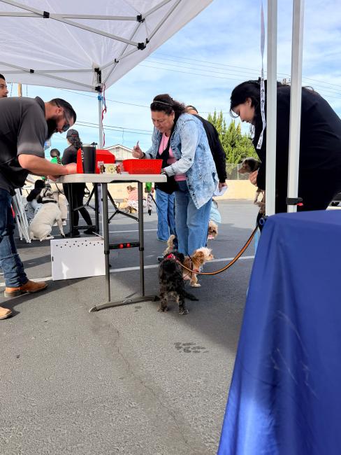 Warm Springs Dog Wellness Clinic