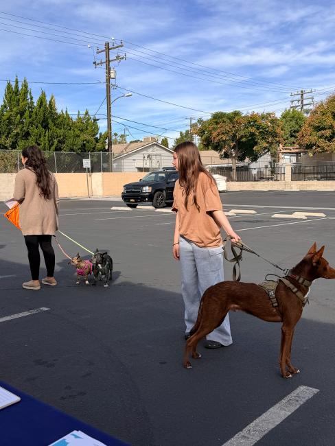 Warm Springs Dog Wellness Clinic