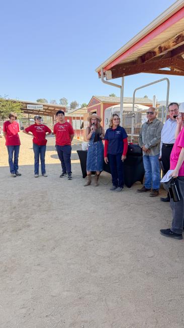 NDR Therapeutic Riding