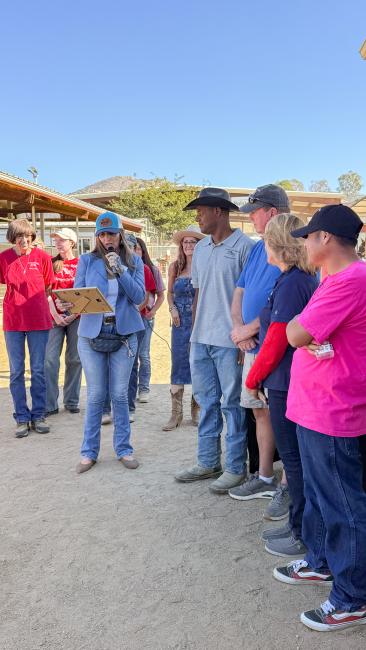NDR Therapeutic Riding