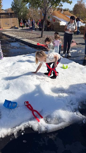 Temescal Valley Winter Festival