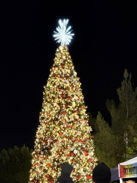 JV Tree 2