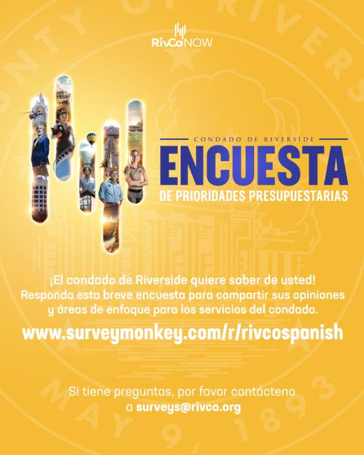 Budget Survey Flyer Spa
