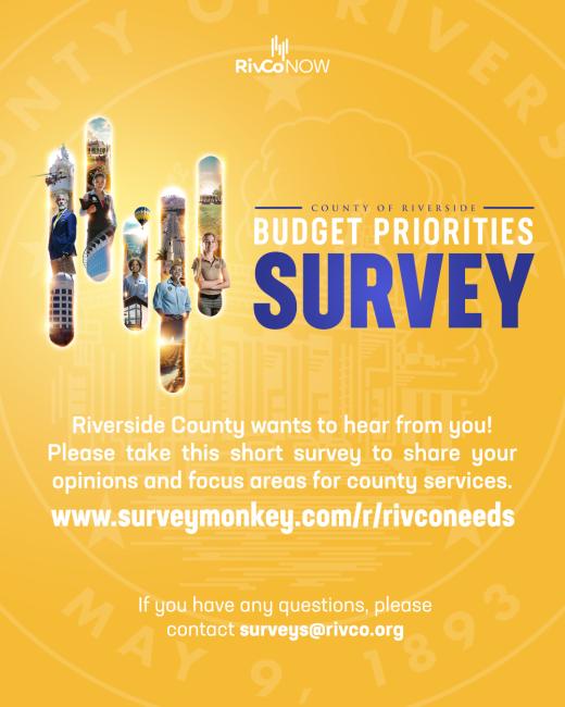 Budget Survey Flyer