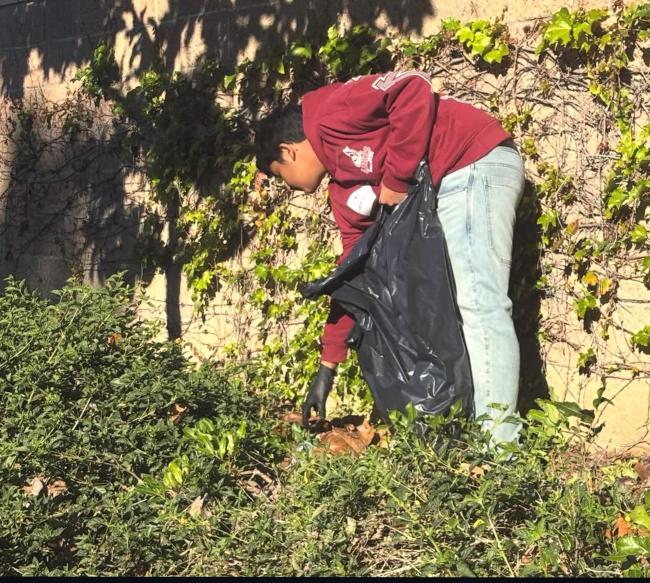 Eastvale Park Clean Up