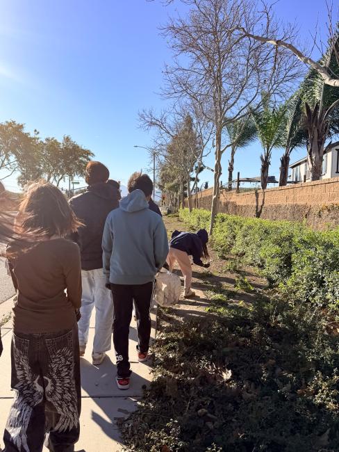 Eastvale Park Clean Up