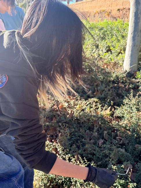 Eastvale Park Clean Up