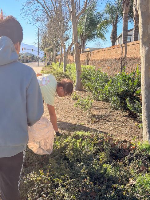 Eastvale Park Clean Up