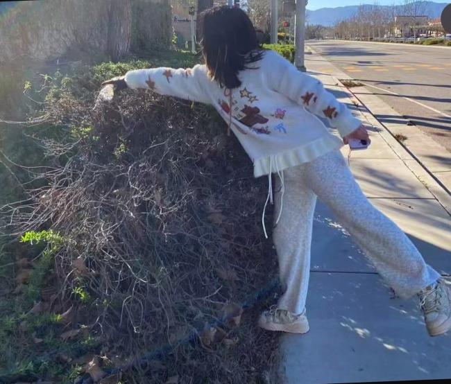Eastvale Park Clean Up