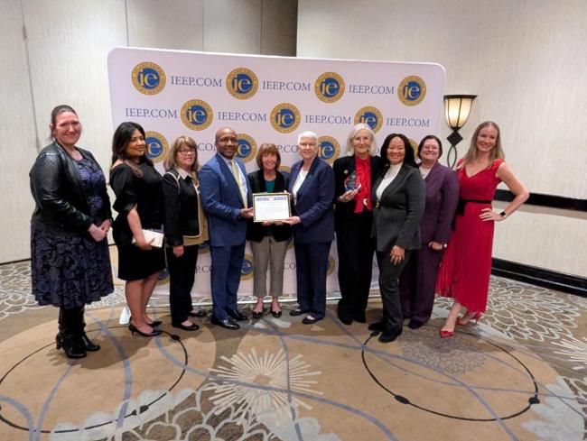 IEEP Partnership Awards
