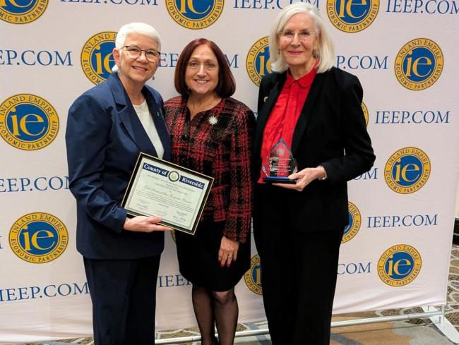 IEEP Partnership Awards