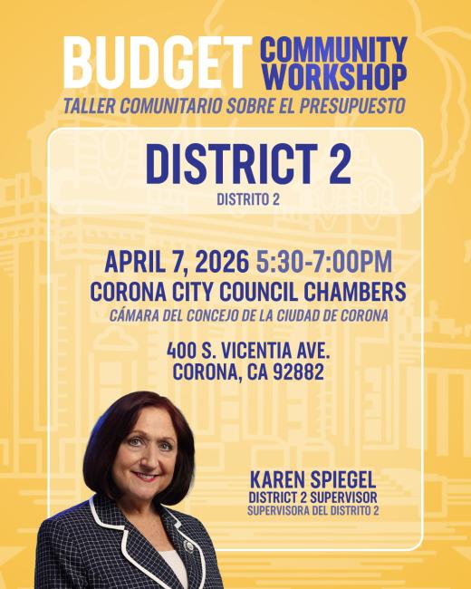 District 2 Budget Community Workshop