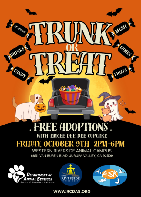 trunk or treat 