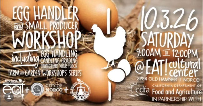 eggs and produce 
